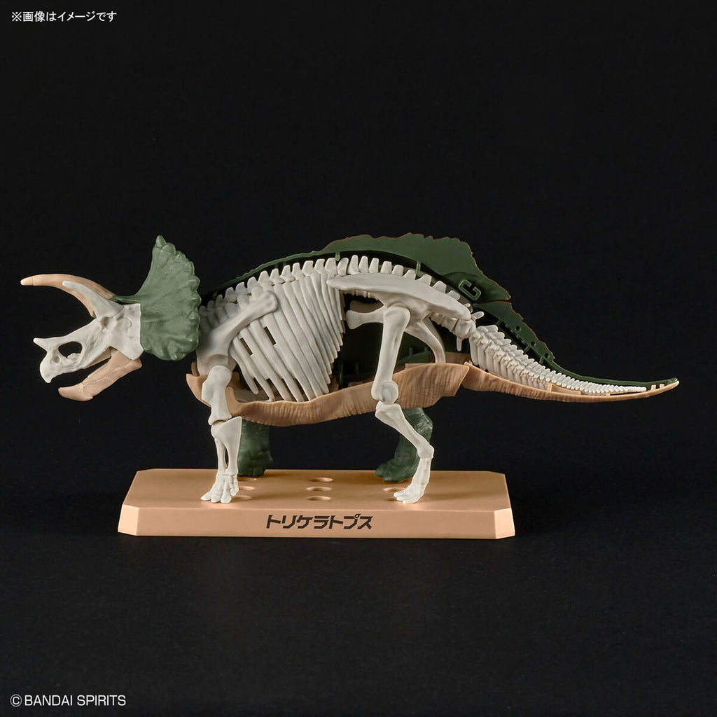 Triceratops - Plannosaurus - Plastic Model Kit - Bandai