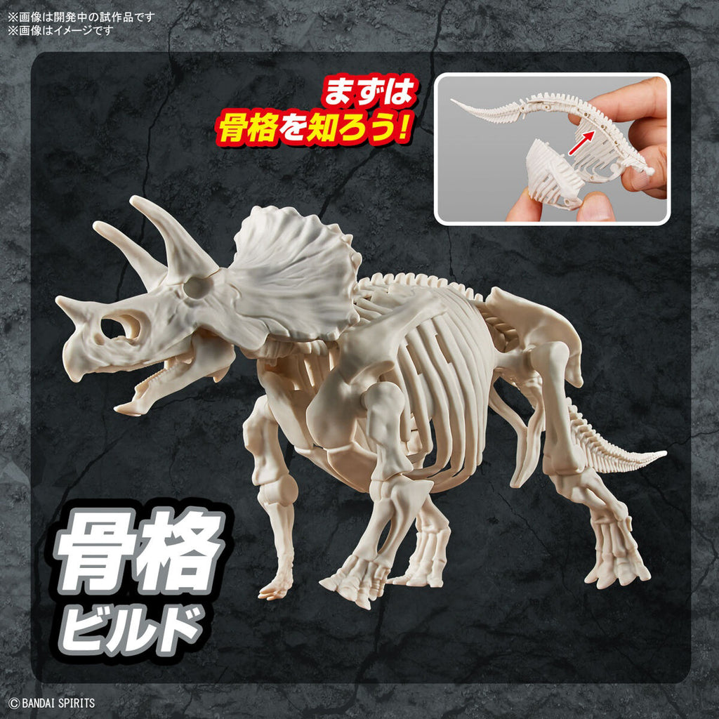 Triceratops - Plannosaurus - Plastic Model Kit - Bandai