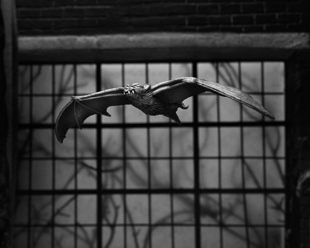 Figura Ultimate Dracula Carfax Abbey - Universal Monster - 7'' Scale - Neca