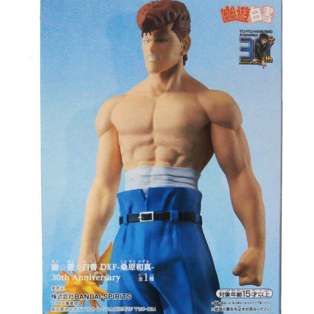 Estátua Kazuma Kuwabara 30th Anniversary - Yu Yu Hakusho - DFX - BANPRESTO - BANDAI