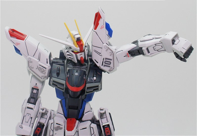 Freedom Gundam Ver 2.0 - Gundam - MG 1/100 - Bandai