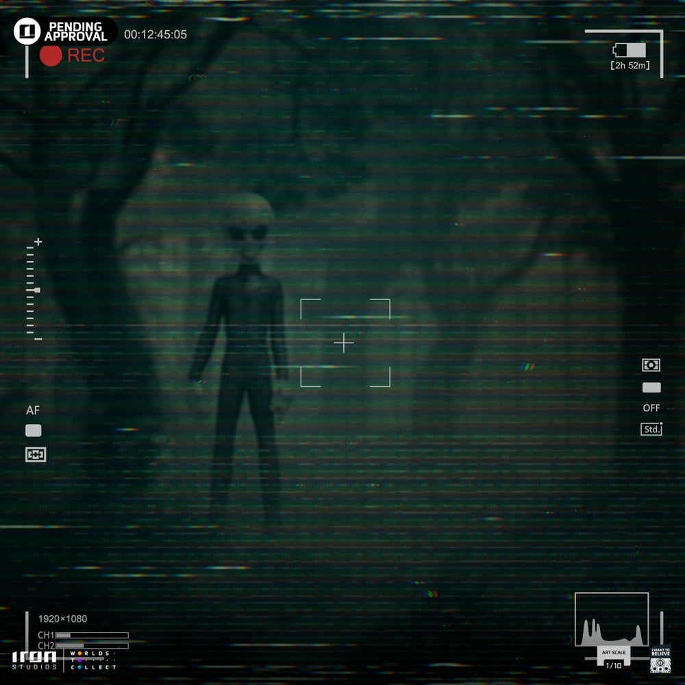 Estátua Grey Alien - I Want to Believe - Art Scale 1/10 - Iron Studios