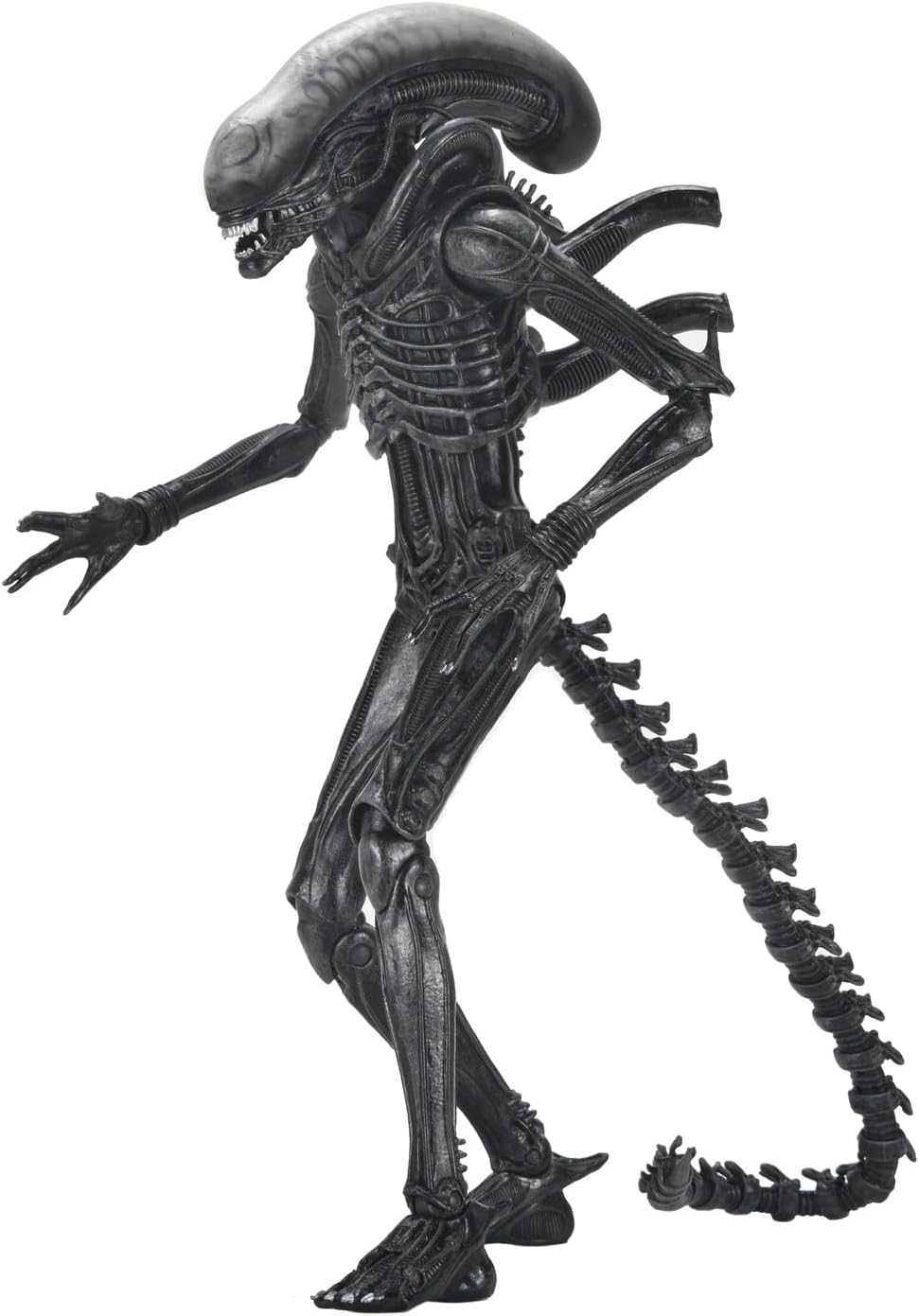 Figura Xenomorph XX121 – Alien: Romulus – Ultimate - 7