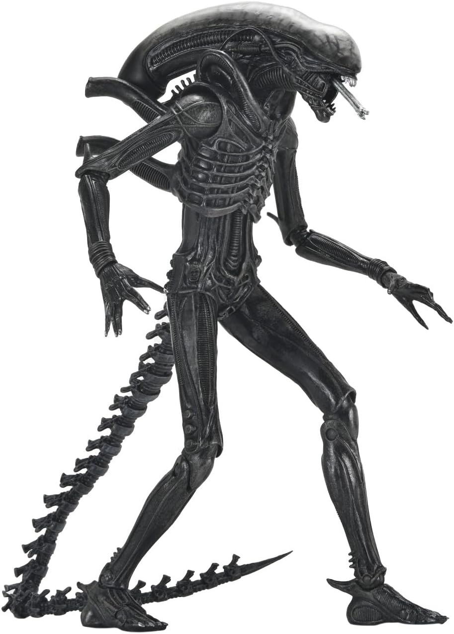 Figura Xenomorph XX121 – Alien: Romulus – Ultimate - 7