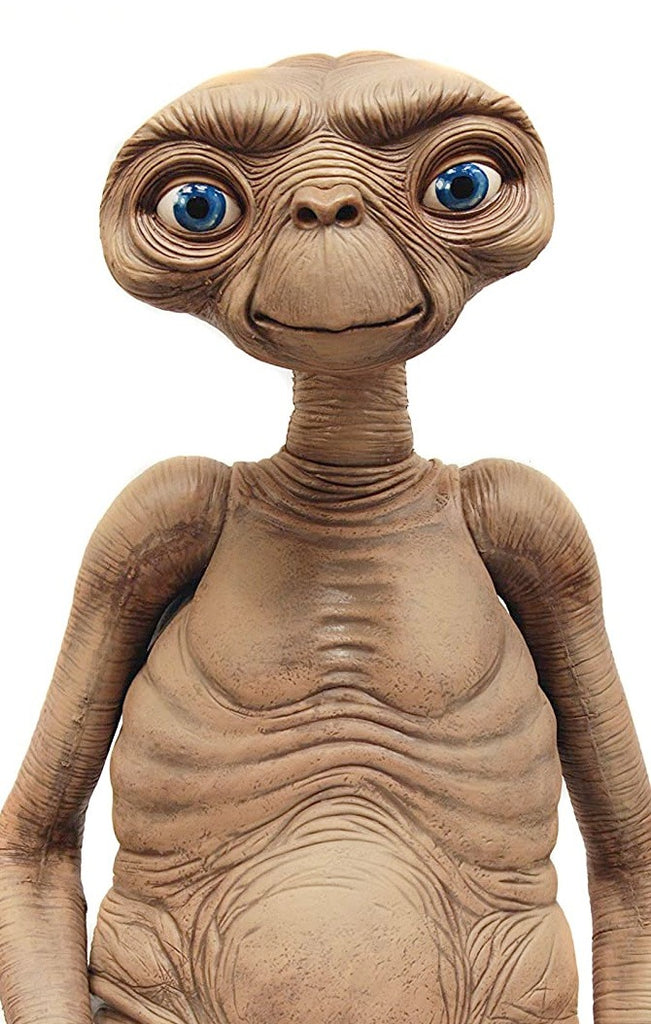 Figura E.T. 12