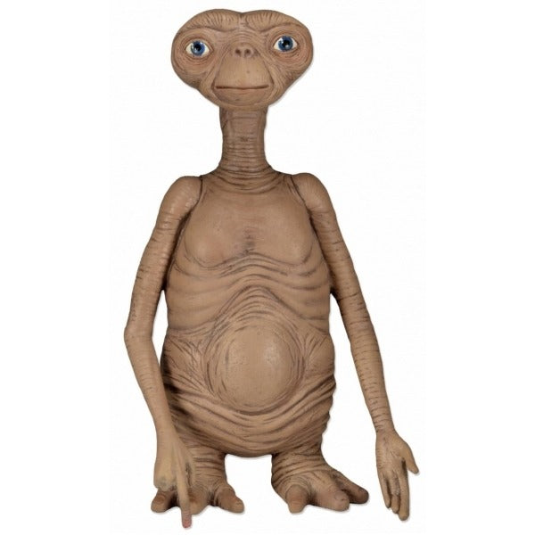 Figura E.T. 12