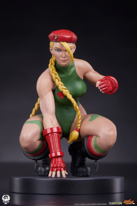 sota toys ストリートファイター　フィギュア　キャミー　CAPCOM Estátua Cammy & Birdie – Street Fighter – 1/10 Scale Collectible