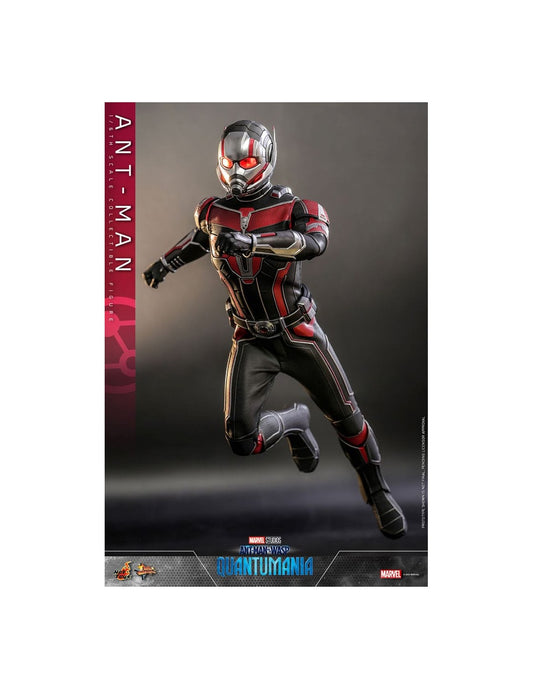 Figura Ant-Man - Ant-Man: Quantumania - Sixth Scale - Hot Toys