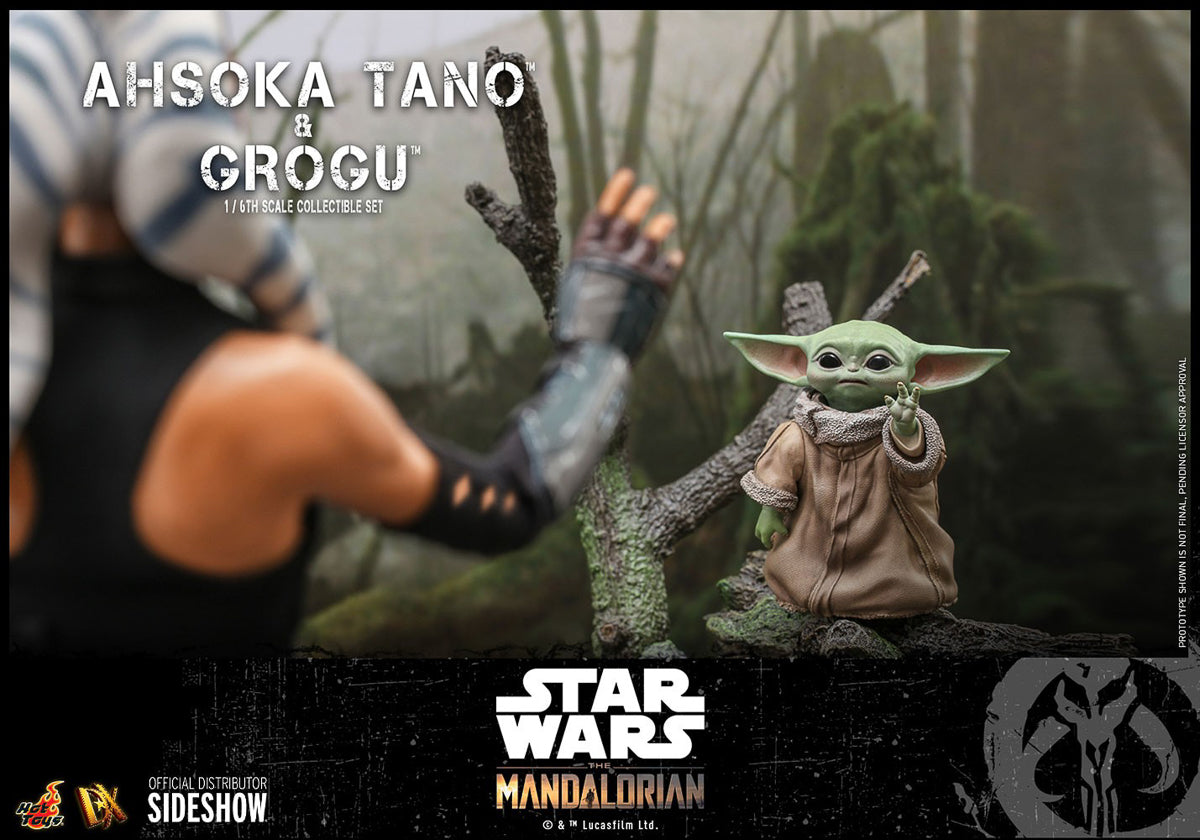 Ahsoka Tano and Grogu - The Mandalorian - Sixth Scale - Hot Toys
