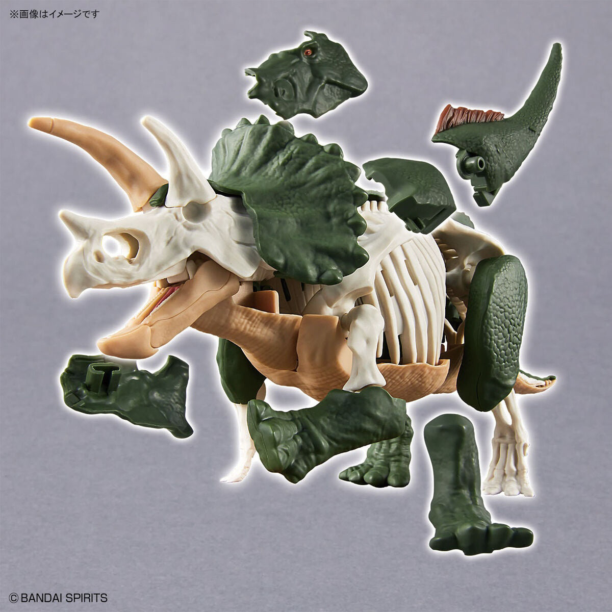 Triceratops - Plannosaurus - Plastic Model Kit - Bandai – Iron
